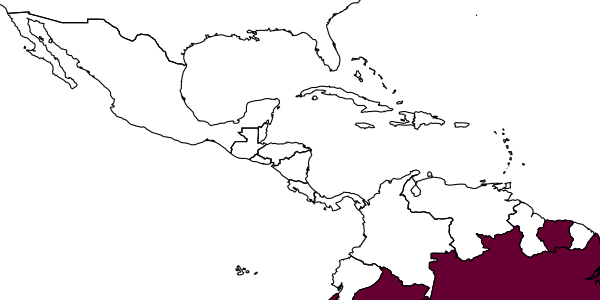 map of Pirhosigma mearimense     (Zavattari, 1912)